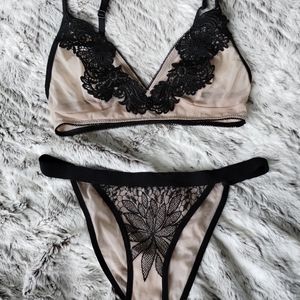 Small sheer mesh and lace matching lingerie set